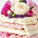 Meringue cake with plums and raspberries