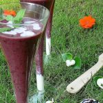 Blueberry-Mint-Coconut Smoothie