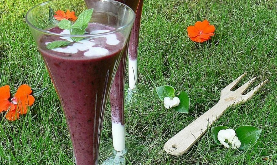 Blueberry-Mint-Coconut Smoothie