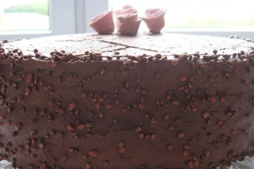 Chocolate Cake with Light Chocolate Cream