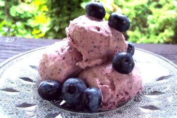 Coconut Milk Ice Cream