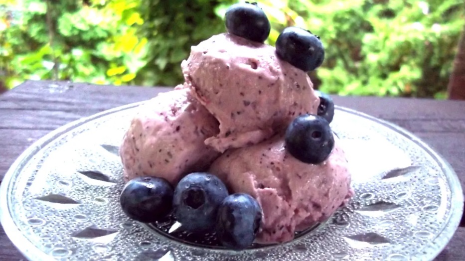 Coconut Milk Ice Cream