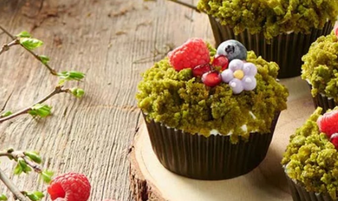 Forest moss cupcakes