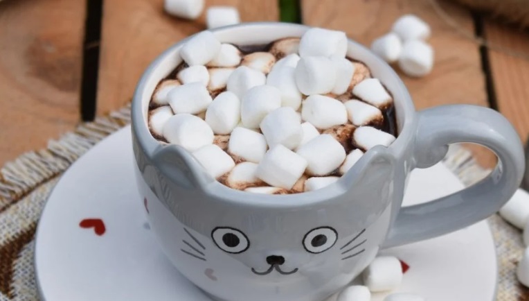 Hot Mint Chocolate with Mini Marshmallows