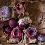 Vegan Chocolate Cherry Ice Cream