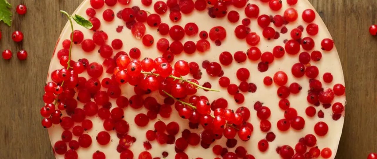 Cheesecake with Blackcurrant and Cider Jelly