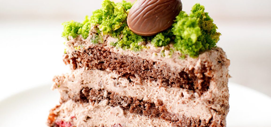 Chocolate Cake with Green Moss