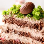 Chocolate Cake with Green Moss