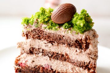 Chocolate Cake with Green Moss