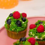 Forest Moss Cupcakes