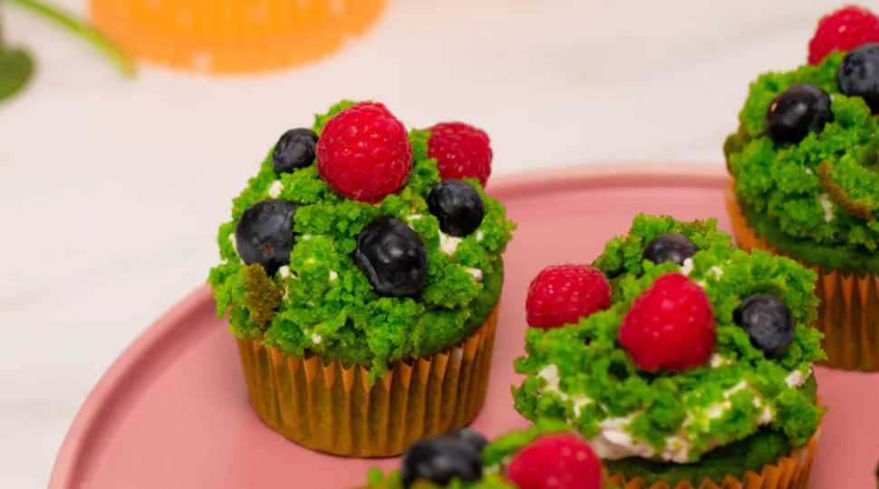 Forest Moss Cupcakes