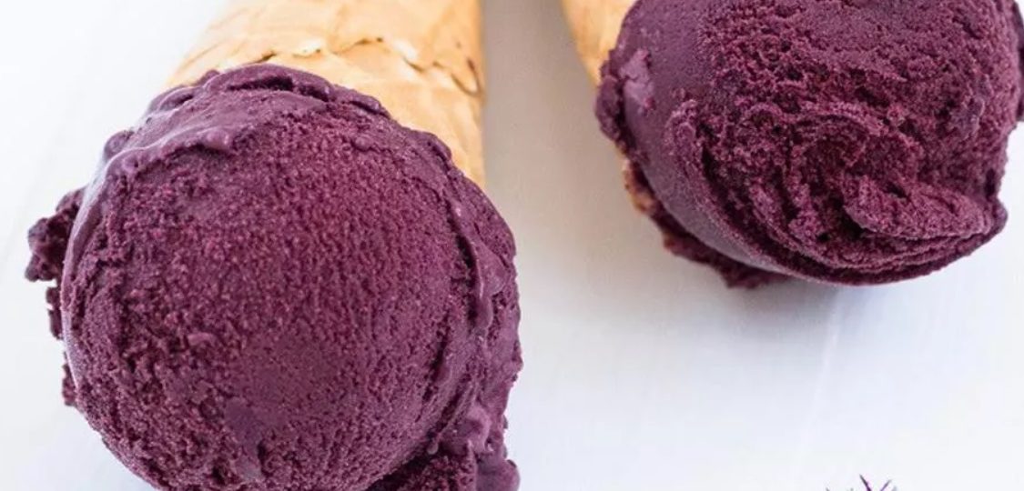 Homemade Blueberry Ice Cream