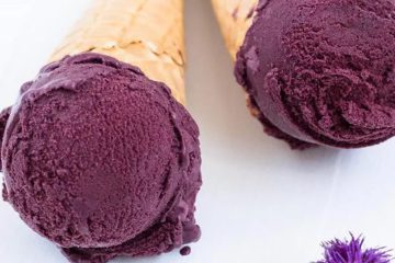 Homemade Blueberry Ice Cream