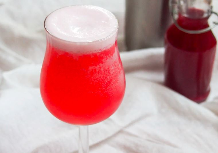 Pink Gin Fizz Cocktail