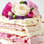 Plum and Raspberry Pavlova Cake