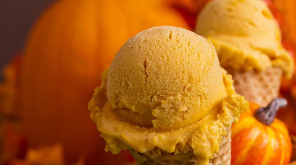 Pumpkin Ice Cream