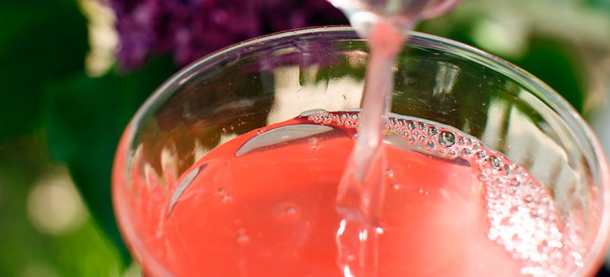 Rhubarb and Apple Compote with Mint